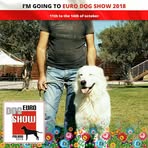 Profile Picture of Carlo Caniglia (@carlo.caniglia.1) on Facebook