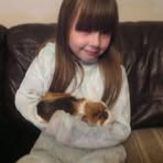 Profile Picture of Bradley Schwarzer (@Bradley-Schwarzer) on Facebook