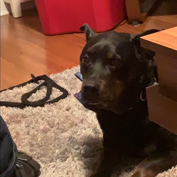 Profile Picture of Megan Littler (@littlerm) on Poshmark