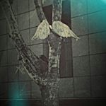 Profile Picture of Kim Strauss (@kim.strauss) on Instagram