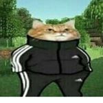 Profile Picture of Andrei Boboc (@andreiboboc12) on Instagram