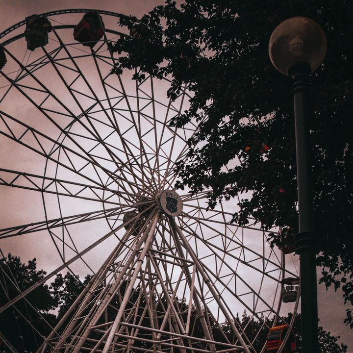 Profile Picture of Mr Davidson's photo (@mr.davidsonsphoto) on Tiktok