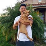 Profile Picture of Andy Tang (@andytang001) on Instagram