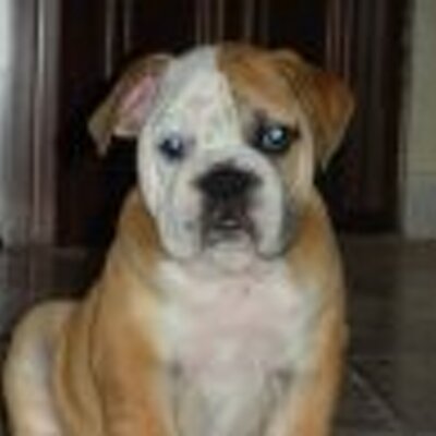 Profile Picture of Luis Gerardo Arocha (@LuisGArocha) on Twitter