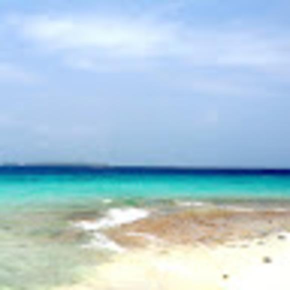 Profile Picture of Rachel Broudy (@rachelbroudy) on Poshmark