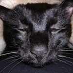 Profile Picture of Alan Cartwright (@alanpd3) on Instagram