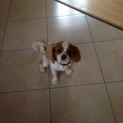 Profile Picture of Mandy McCarthy (@Mccarthy77Mandy) on Twitter