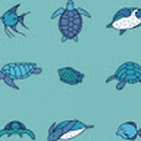 Profile Picture of Matthew Kayser (@matthew-kayser-6) on Quora