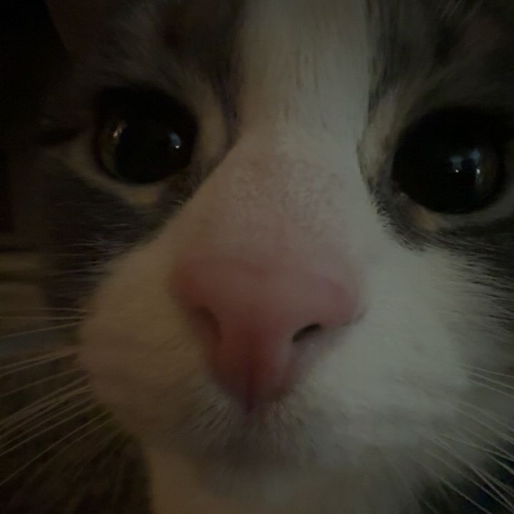 Profile Picture of Jason Sheehan (@@jasonsheehan1) on Tiktok