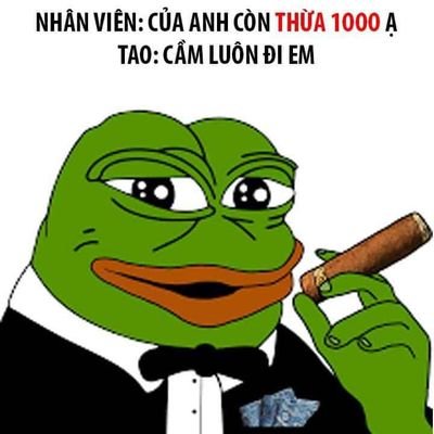 Profile Picture of Quang Mạc Đăng (@QuangMcng1) on Twitter