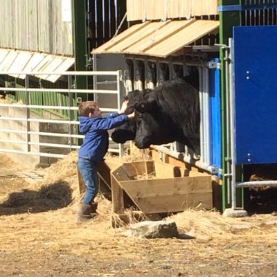 Profile Picture of Michael Todd (@speak2mtodd) on Twitter