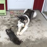 Profile Picture of Keith Stinson (@keith.stinson1508) on Instagram