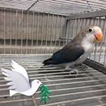 Profile Picture of James Clave (@james.clave.9) on Instagram