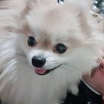 Profile Picture of 김재청 (@kimjaechung) on Instagram