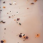 Profile Picture of Michaela Stanley (@_michaelastanley) on Instagram