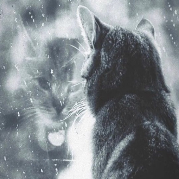 Profile Picture of Nemo Nemo (@viva_la_nemo) on Poshmark