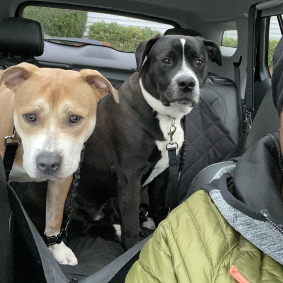 Profile Picture of Ericka Abbott (@ebabbott9) on Poshmark