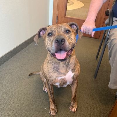 Profile Picture of Bernard Norman Ernest Jared Reed (@BernardNormanE1) on Twitter