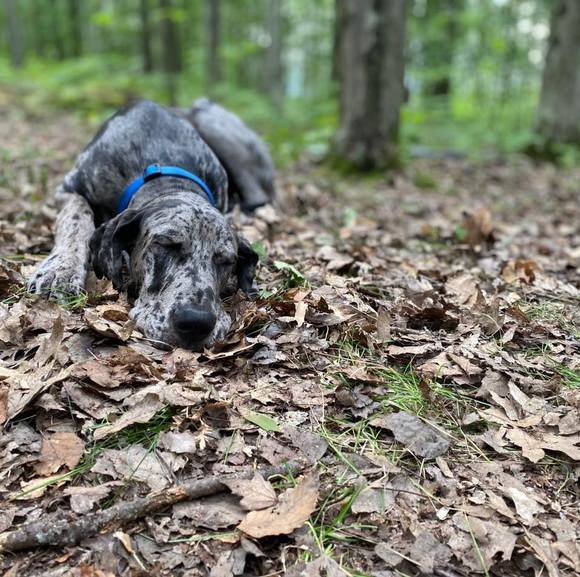 Profile Picture of Primitive Fingers (@fingerfnds) on Poshmark