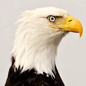 Profile Picture of John Resler (@JohnReslerpages) on Youtube