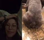 Profile Picture of   I love my job, hate the... (@kinsleymonroe) on Tiktok