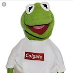 Jesse Martelllo - Instagram Profile Picture of Jesse Martelllo (@jessemartelllo) on Instagram