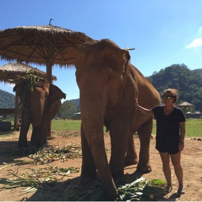 Profile Picture of Aimee Wong (@avwong) on Twitter