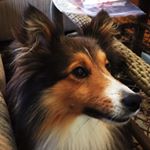 Profile Picture of Jeremiah Richardson (@jsr004) on Instagram