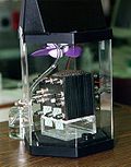 Profile Picture of Fuel cell - Wikipediaon Wikipedia