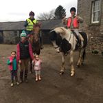 Profile Picture of Clifton Hall Farm Livery (@cliftonhallfarmlivery) on Instagram