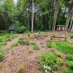 Profile Picture of Hockenberry Cottage (@hockenberrycottage) on Instagram