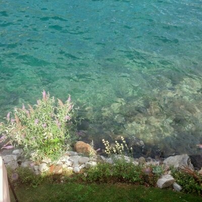 Profile Picture of Jeremy Blum (@BlumjwJeremy) on Twitter