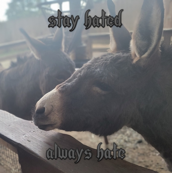 Profile Picture of Seth Osborne (@recklessluver92) on Poshmark