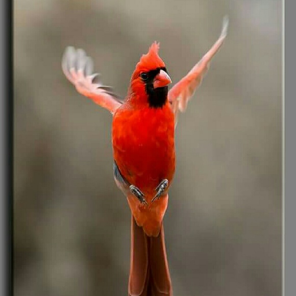 Becky Slocum - Poshmark Profile Picture of Becky Slocum (@beckyslocum15) on Poshmark