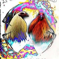 Profile Picture of Randall Brewer (@randall.brewer2) on Tiktok