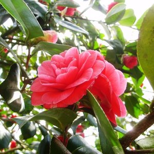 Profile Picture of Elsa Schepers (@elsa_nl) on Myspace