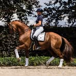 Profile Picture of Joyce Lenaerts (@joyce.lenaerts) on Facebook