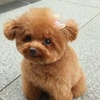 Profile Picture of Alice Simonian (@@alicesimonian) on Tiktok
