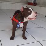 Profile Picture of FLOCK (ALQUIMISTA) & TOM (@flock_alquimista) on Instagram