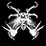 Profile Picture of 100%hell (@100%hell) on Flickr