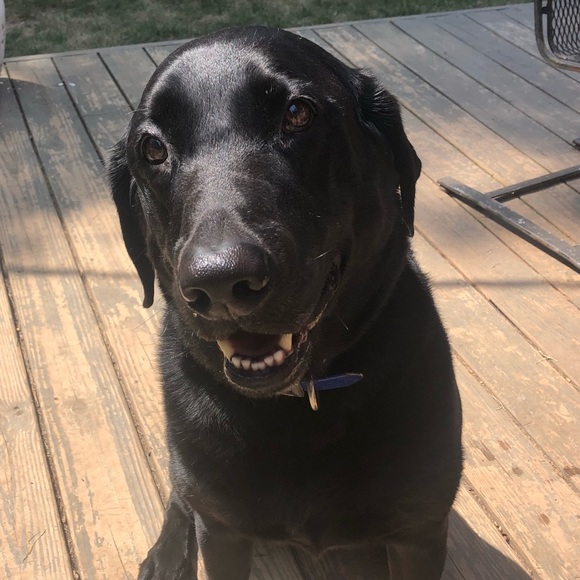 Profile Picture of Virginia Rives (@vr424) on Poshmark