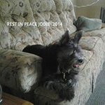 Profile Picture of Bob Freese (@bob_freese) on Instagram