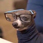 Profile Picture of Stefanie Hoover (@stehfee) on Instagram