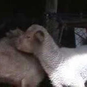 Profile Picture of Frank Chadwick (@frankchadwick) on Youtube