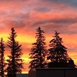 Profile Picture of Jane John Pendergrass (@janejohnpendergrass) on Instagram
