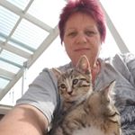 Profile Picture of Kay Keane (@kay.keane.69) on Instagram