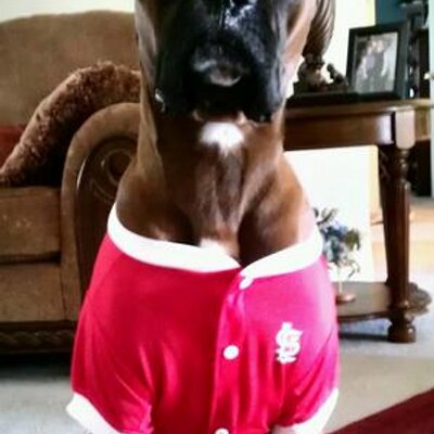 Profile Picture of Bradley Slate (@bslate1986) on Twitter