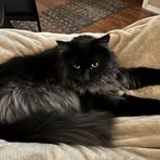 Profile Picture of Cody Decker (@Cody-Decker) on Facebook