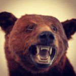 Profile Picture of Matthew Ismael Ruiz (@po_rican) on Instagram