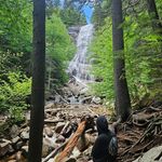 Profile Picture of Lori Aiello Nero (@lori.a.nero) on Instagram